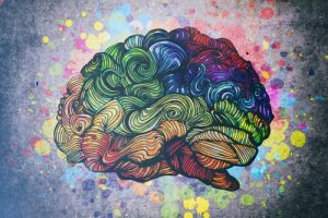 Ontdek de 8 soorten intelligentie