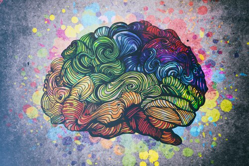 Ontdek de 8 soorten intelligentie