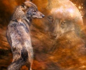 Schoonheid is een houding