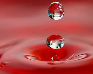 Vluchtige liefde: de kwetsbaarheid van relaties