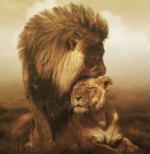 De behoefte aan waardering, onmisbaar voor zelfvertrouwen