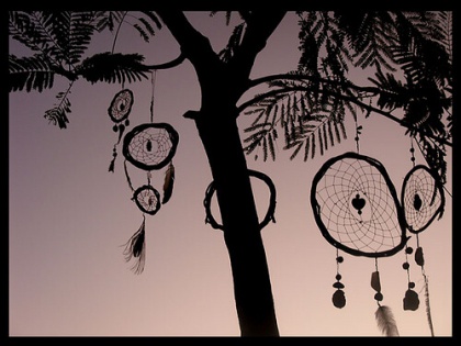 Dromenvangers aan Boom