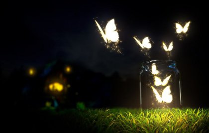 Vlinders