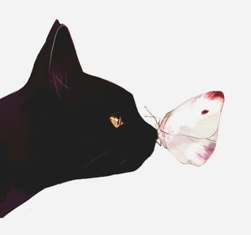 Kat en Vlinder