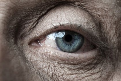 Oog