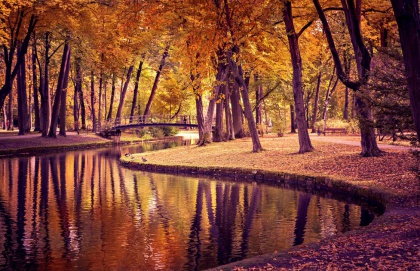 Park