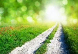 Drie instincten die nooit falen