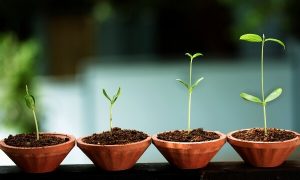 Acht tekenen van emotionele groei