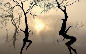 Wat maakt ons gelukkiger, stabiliteit of verandering?