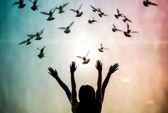 De vier wetten van spiritualiteit