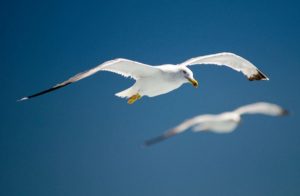 Het ligt niet aan jou, maar aan mij