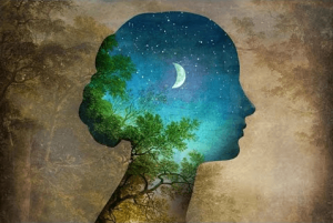 Je bent niet je ervaringen, maar wat je van ze leert