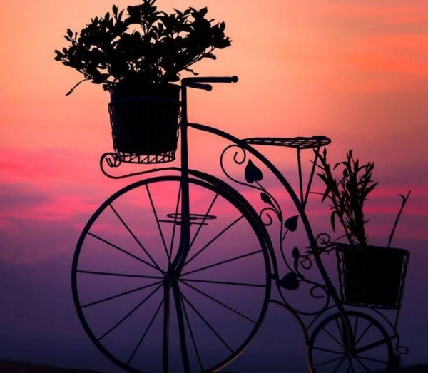 Fiets