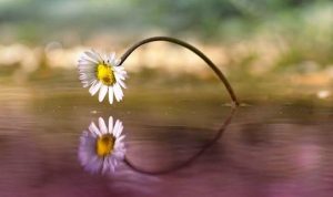 Goede dingen kunnen op elk moment plaatsvinden