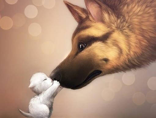 Hond en Kat