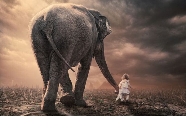 Kind met Olifant