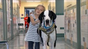 'Steun op mij': het prachtige verhaal van Bella en George