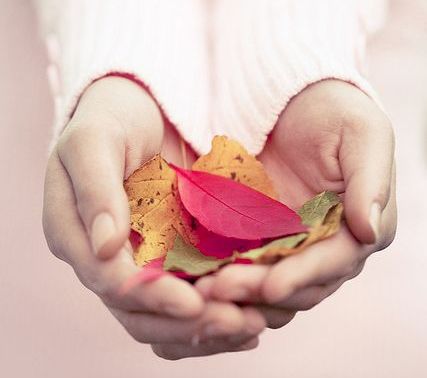 handen-herfstbladeren Leef Altijd In Het Heden