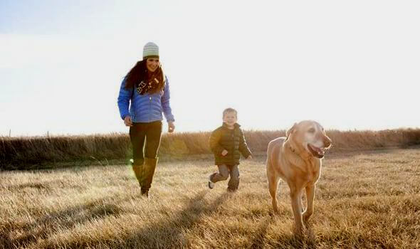 Hond