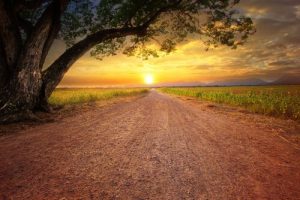 Wat gaat er schuil achter demotivatie?