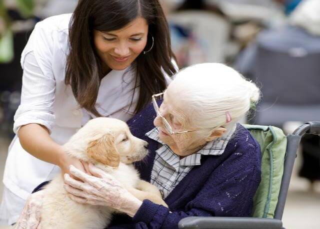 Alzheimerpatiënt met Hulphond