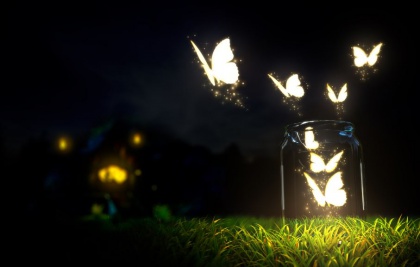 Vlinders