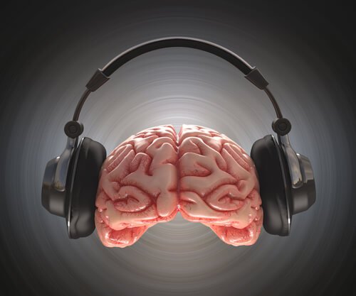 Muziek en de Hersenen