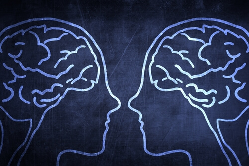 Wat doen spiegelneuronen?