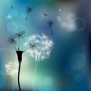 Hoe je jezelf kunt bevrijden van giftige mensen