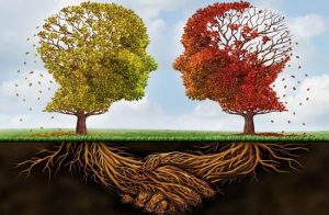 Tien soorten psychologen