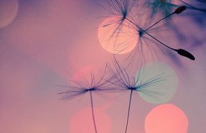 Het antwoord vinden op een lastige situatie is therapeutisch