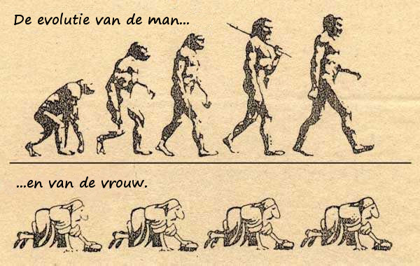 Evolutie