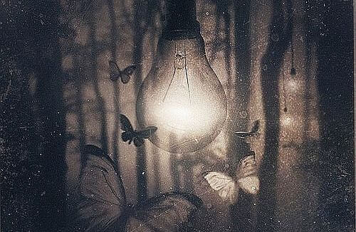 Licht