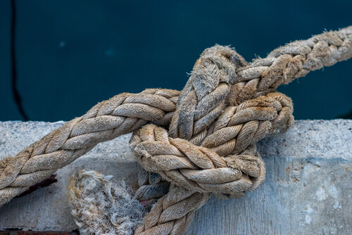 Knoop