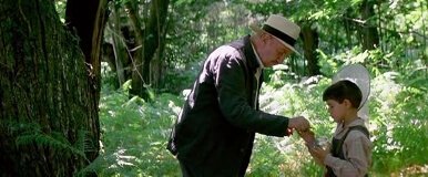 De tong van een vlinder