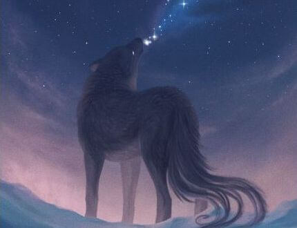 Een Wolf Die Huilt In De Nacht En Geen Ingehouden Emoties Heeft