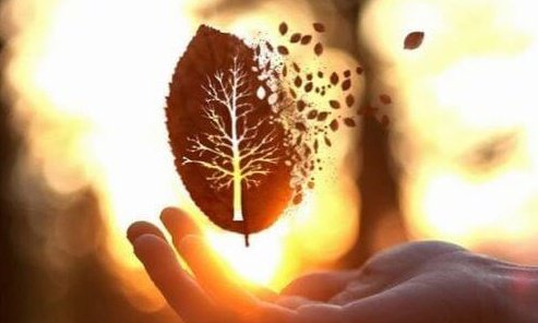 Van Onszelf Houden Scholing