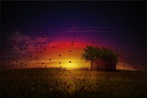 Emotionele marketing: emoties kopen