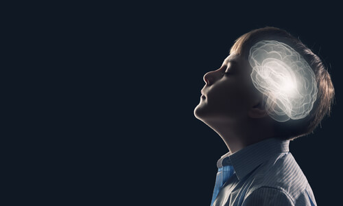 Neurale Plasticiteit