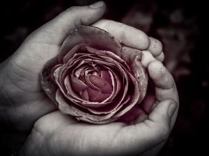 De perfectie die zich openbaart in het imperfecte