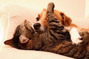 Wat kun je doen als je het moeilijk vindt om anderen te vertrouwen