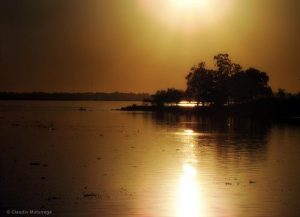 De kracht van onze verbeelding