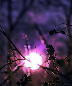 De reis naar binnen: introspectie