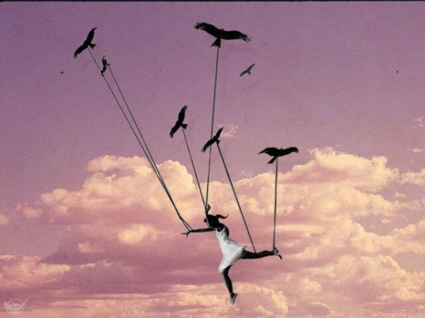 vogels Onderschat Mij Niet