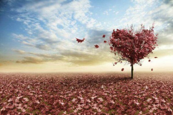 Drie visies op de liefde van Erich Fromm