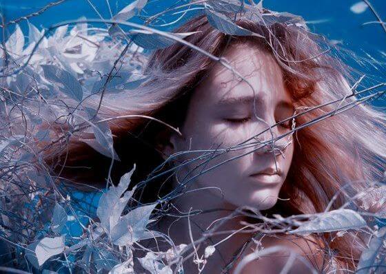 Erich Fromm Over De Liefde