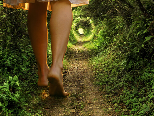 Tunnel