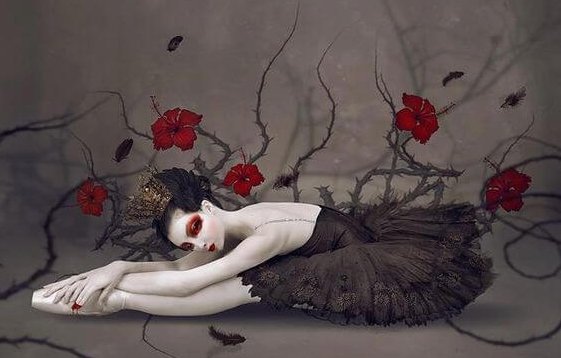 Ballerina met Doorntakken