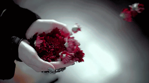 Wegvliegende Bloemen
