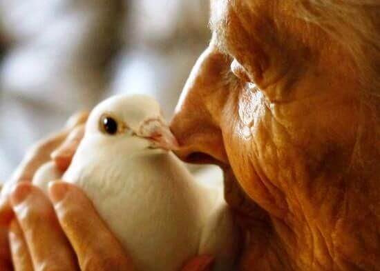 Oude Man met Vogel